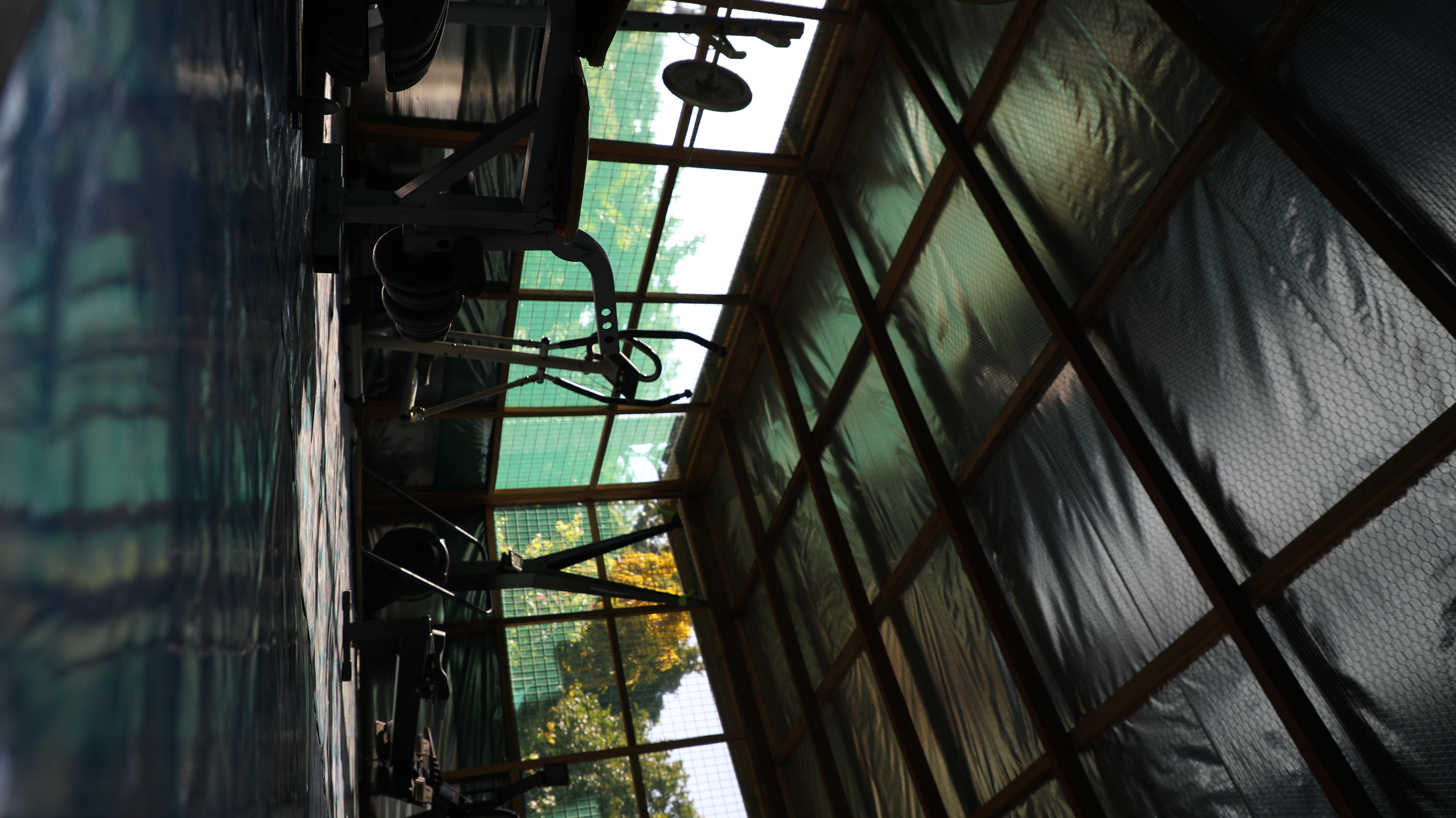 Gym photo 9